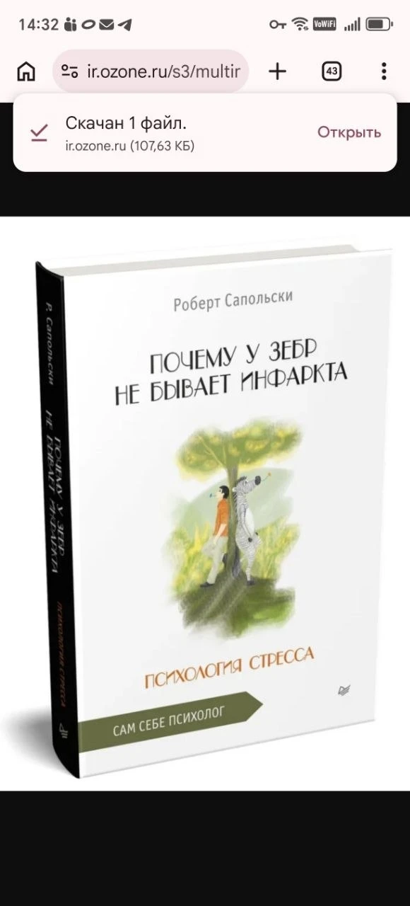 ПОЧЕМУ У ЗЕБР НЕ БЫВАЕТ ИНФАРКТА?

Всё болезни от нервов-есть в этом доля истины. Не все, но многие 