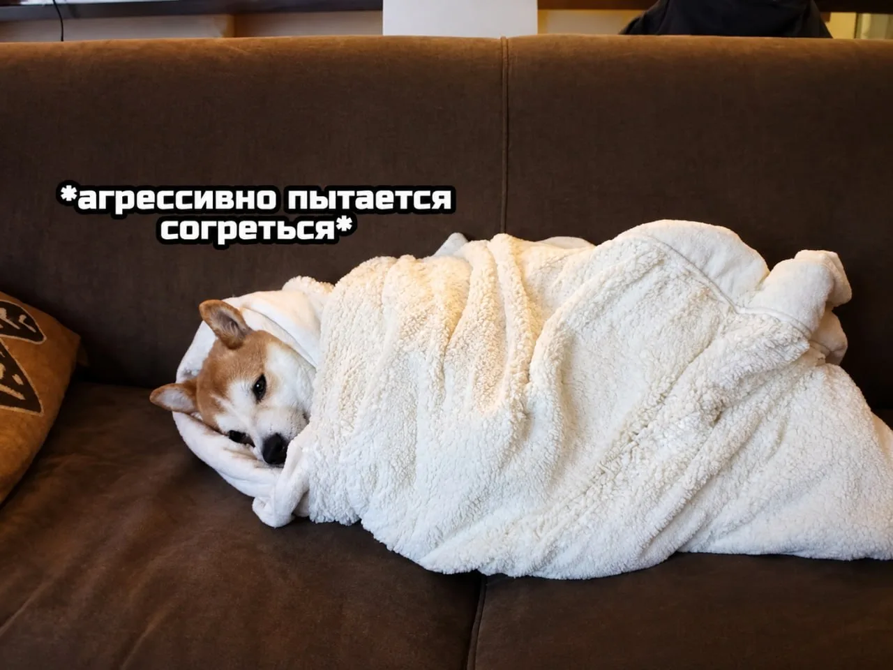 😵 Воронеж готов к отопительному сезону на 99,99% — но отопление в ближайшие 3 недели м...