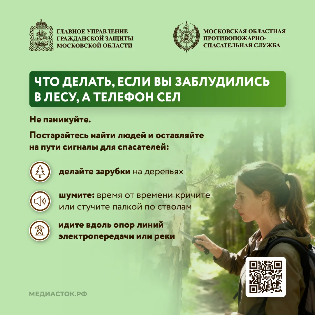 🌲Как подготовиться к походу в лес, что взять с собой, и как найти дорогу, если сбились с пути – чита