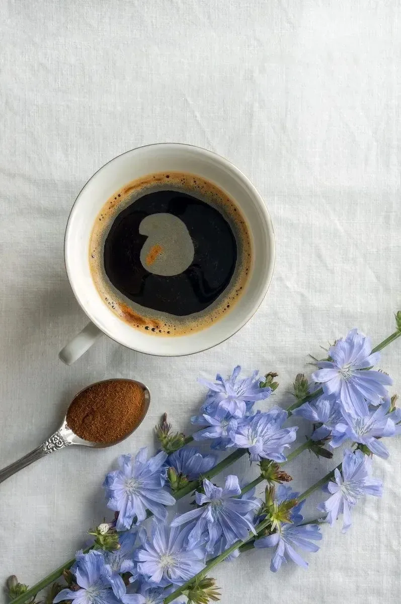 ☕Отвар из корня цикория — щадящая замена кофе