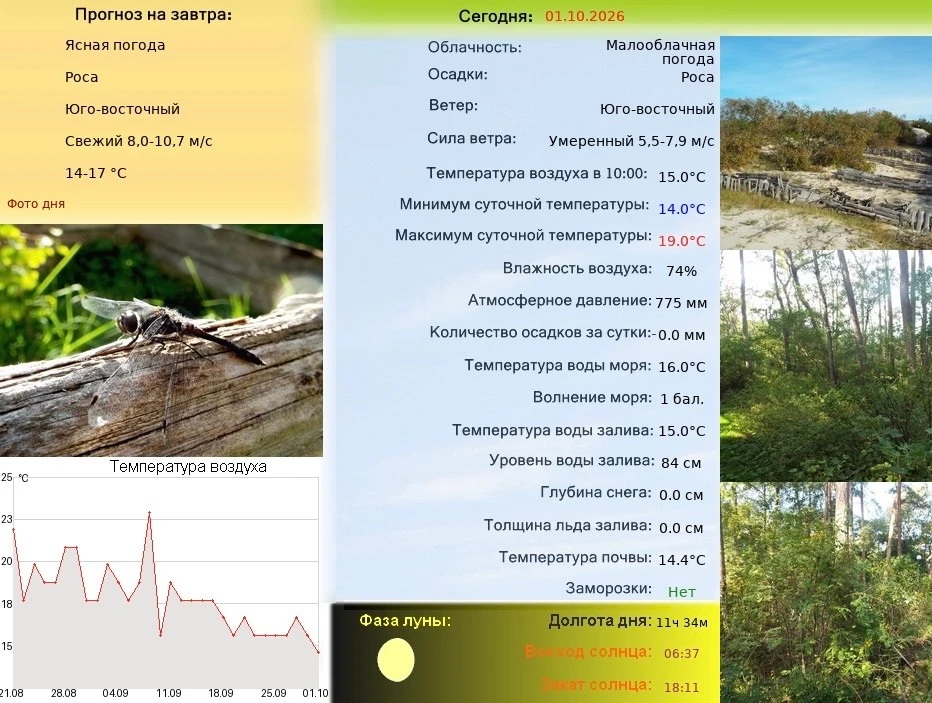 На Куршской косе сохраняются симптомы погоды вчерашнего дня.