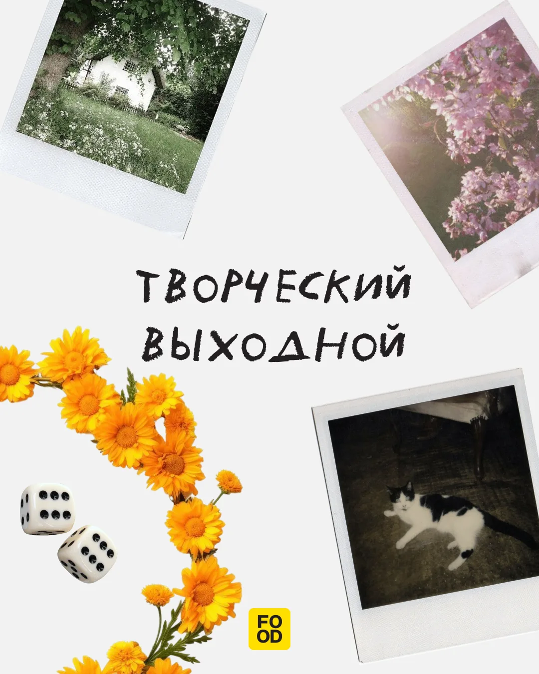 Самые интересные статьи недели ждут вас 💚