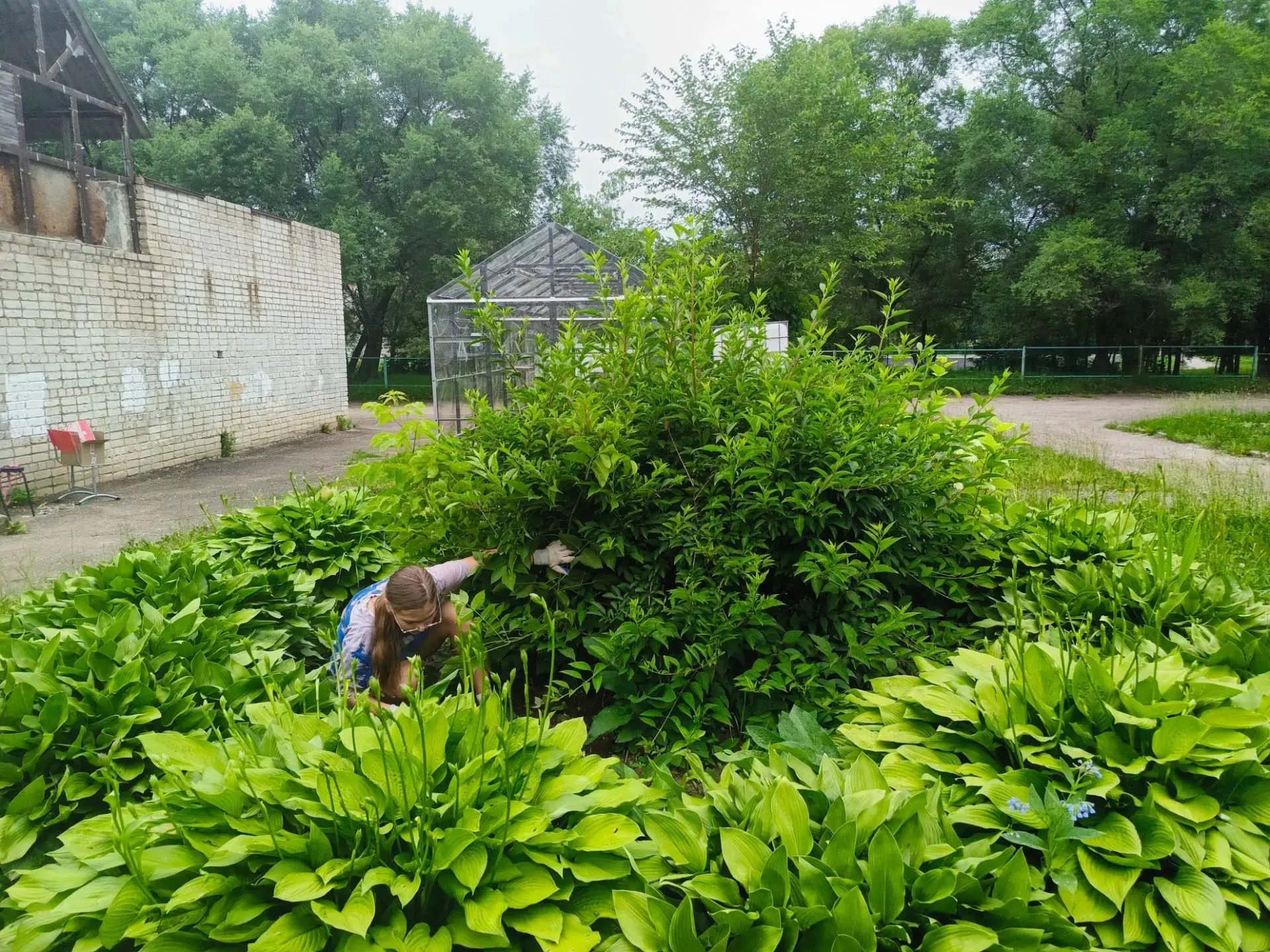 🌿🌿🌿 Агробиологическая практика продолжается!

🌸🌸🌸 Ребята 5 А, 6 А, В, 7 В агроклассов приступи