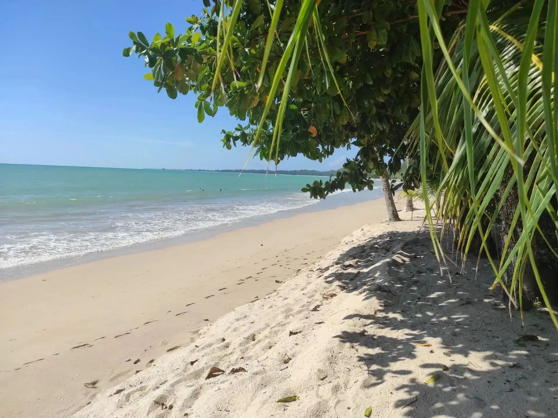 Сентябрь только начался, а мысли уже далеко - там, где +30°C 🌴
