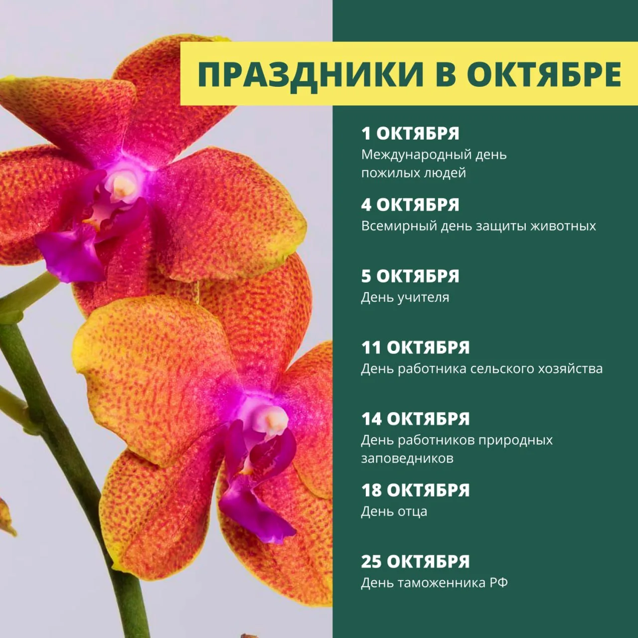 🍂 ПРАЗДНИКИ ОКТЯБРЯ В ГРИНВИЛЛЬ
