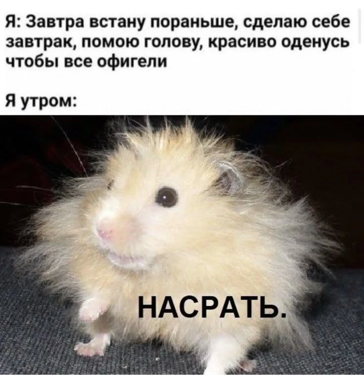 Ты знаешь кому отправить