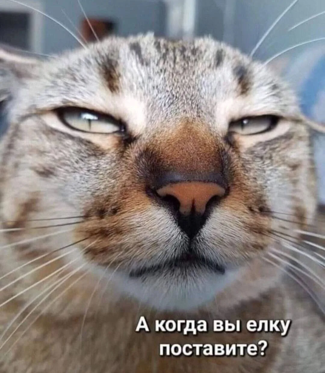 Не для себя, для друга спрашиваю
