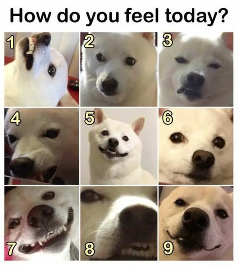 Когда Вас спрашивают «How are you?»,