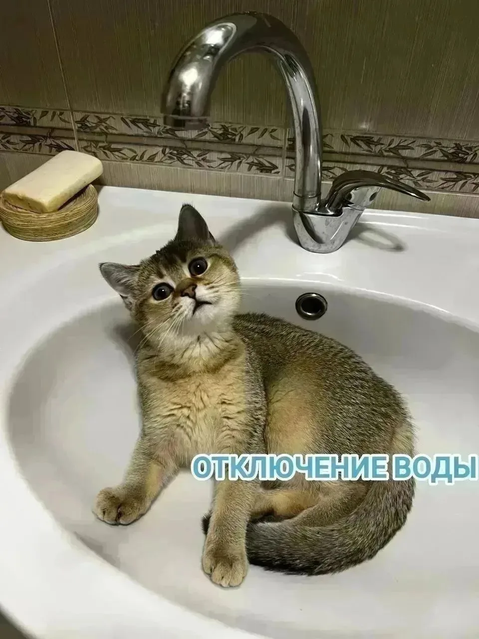 🚰 Информация по отключению водоснабжения