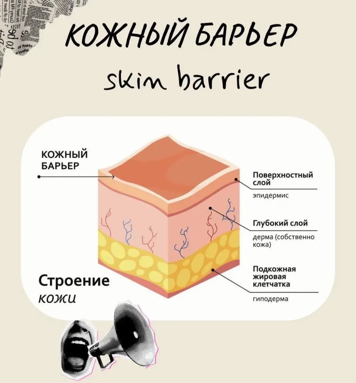 Изображение 1 к публикации «КОСМЕТОЛОГ»