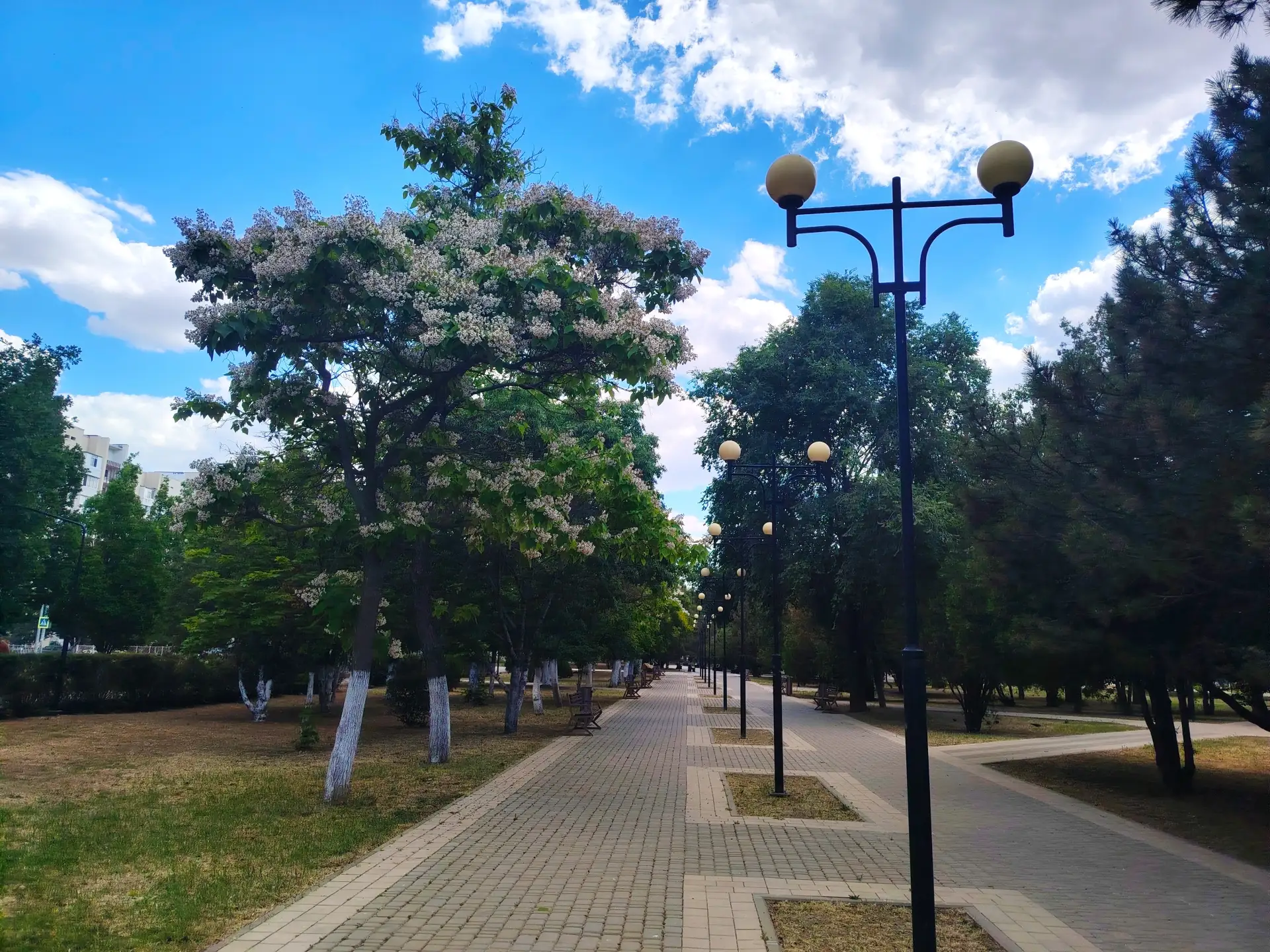 🌅 Доброе утро, Армянск!

🌳  Желаем доброго пробуждения, отличного настроения, тёплого солнышка и п
