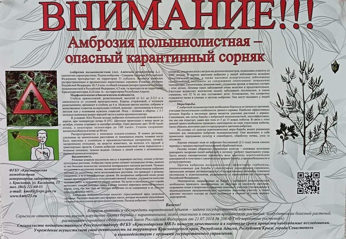 Внимание❗️ Согласно законодательству Краснодарского края, собственник земельного участк...