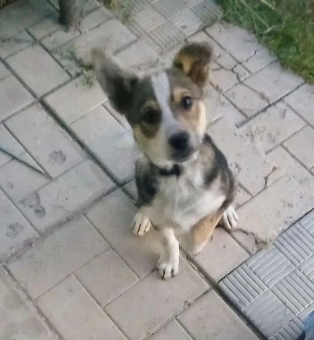 Ну что , у меня хорошие новости🤗🤗🤗