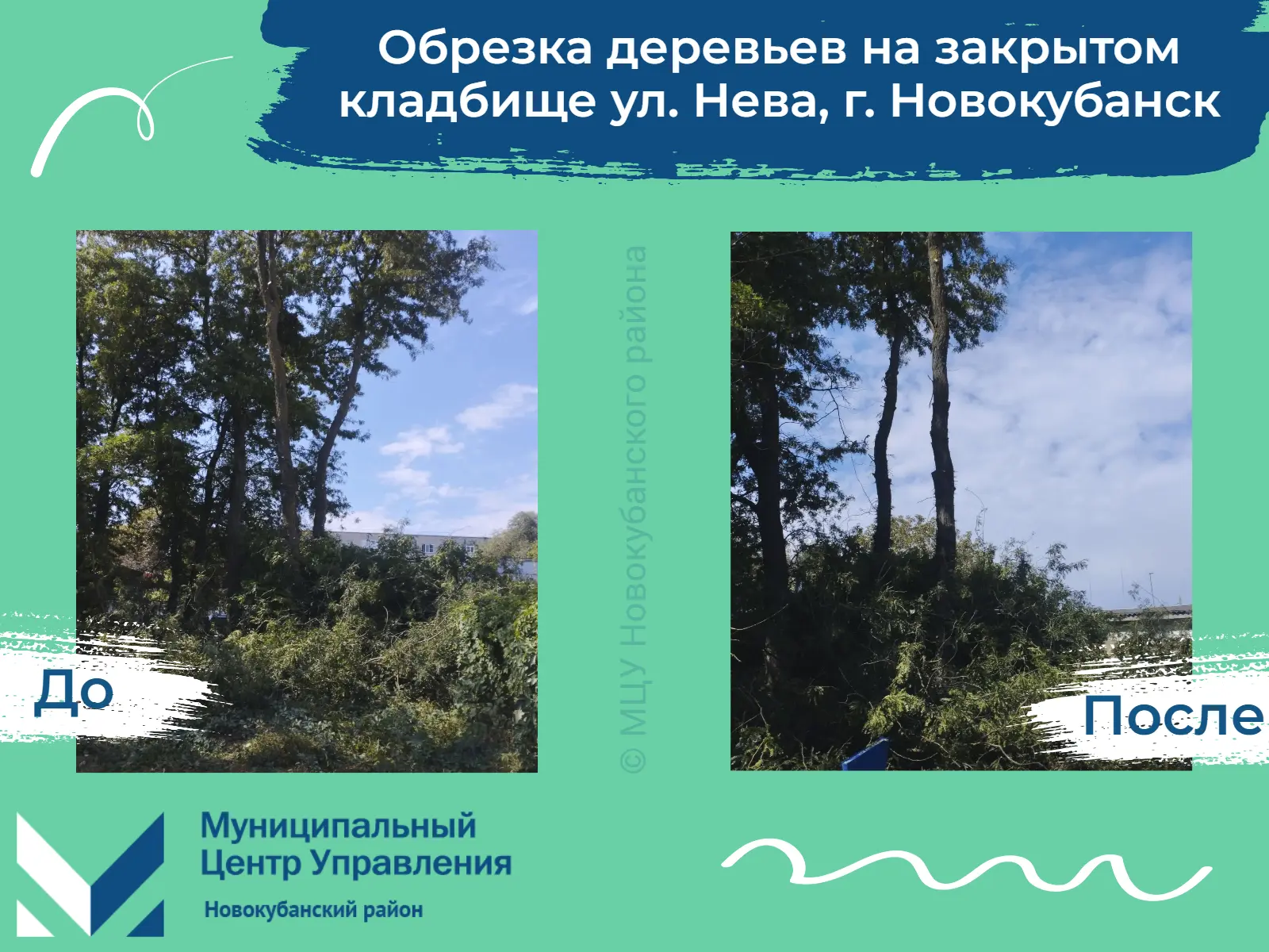 🔹 К нам на Портал обратной связи поступило обращение с просьбой произвести обрезку дер...