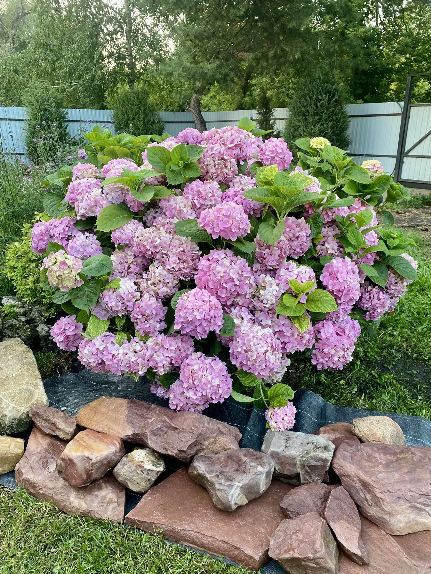 ‼️Друзья, нас 200‼️🥳 Рада что вы со мной.🥰  6 октября опубликую розыгрыш на канале‼️Р...