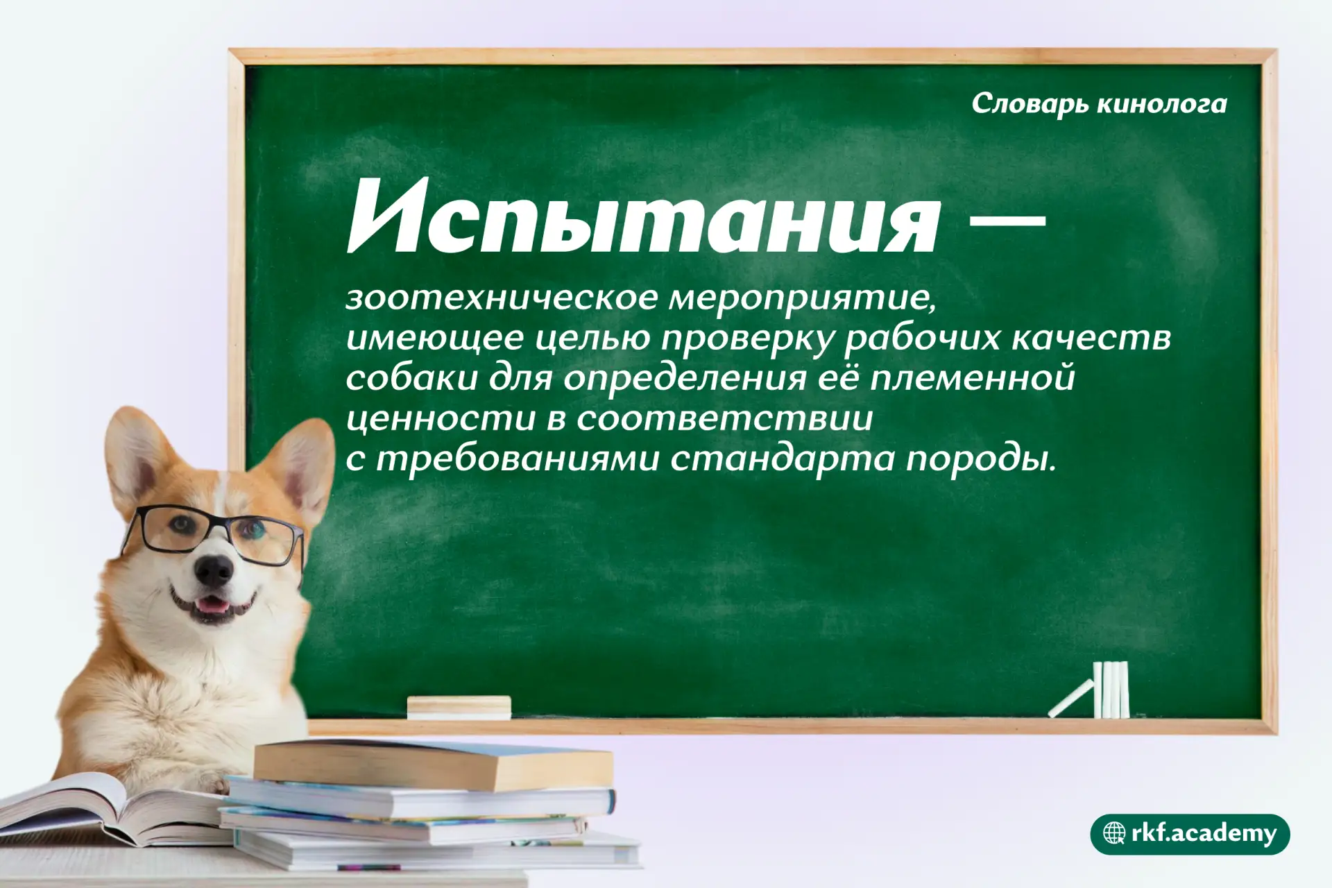 Сохраняйте в кинологический словарь 🤓