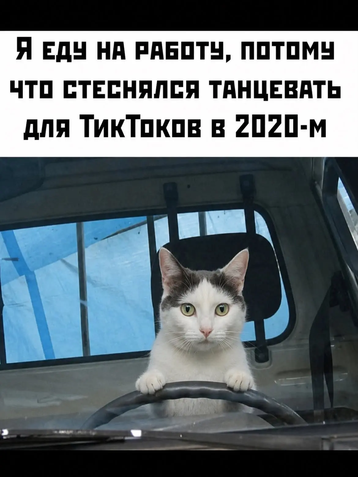 Доброе утро, красотки! ☀️
