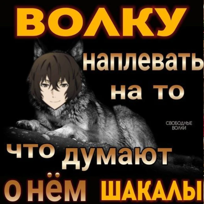Все наши каналы