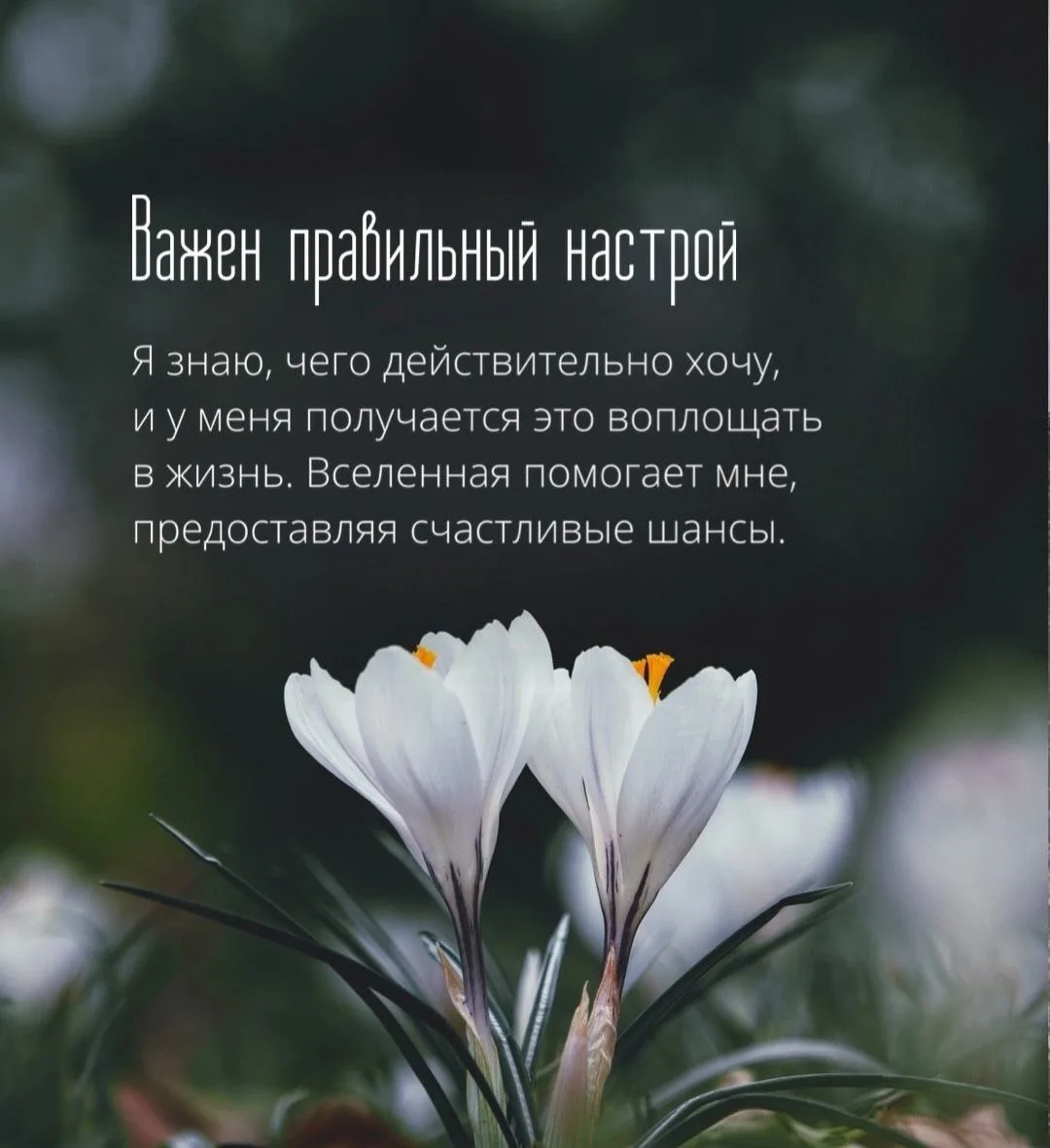 Вселенная подсказывает