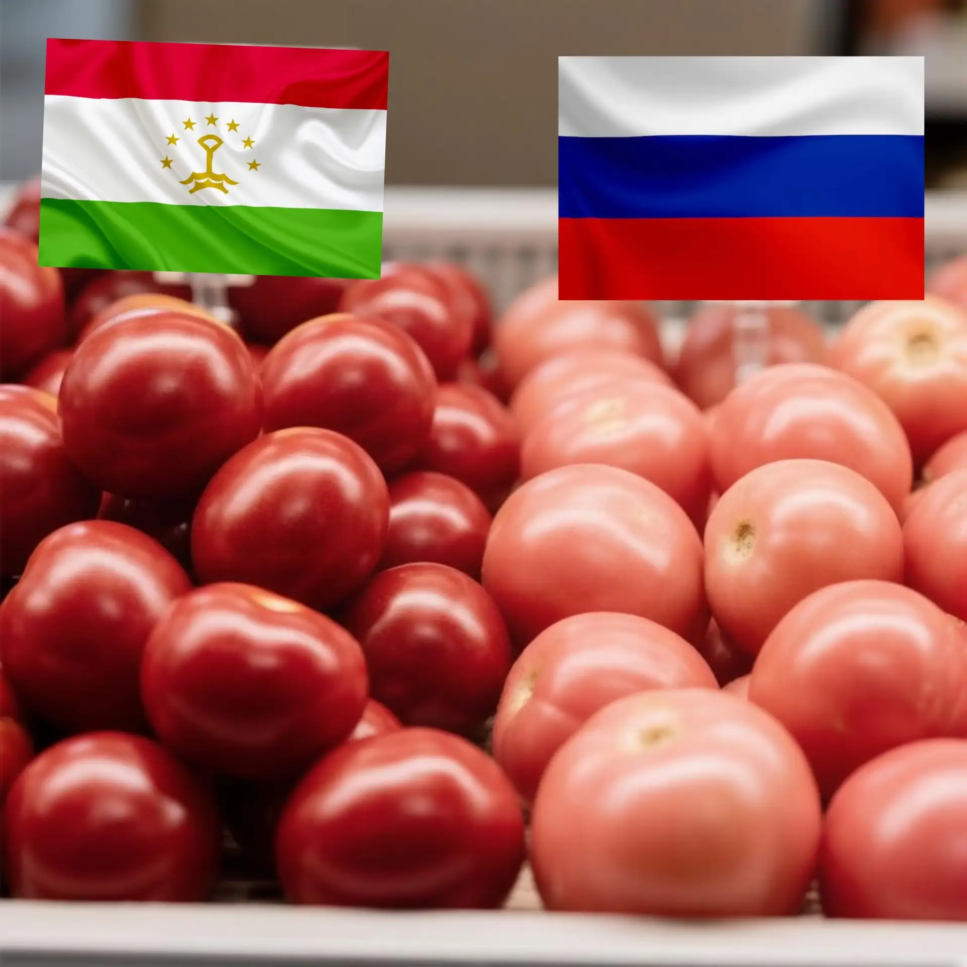 🥒 ПОМИДОРНЫЙ БУНТ: Овощи хотят сделать «золотыми»? 🍅