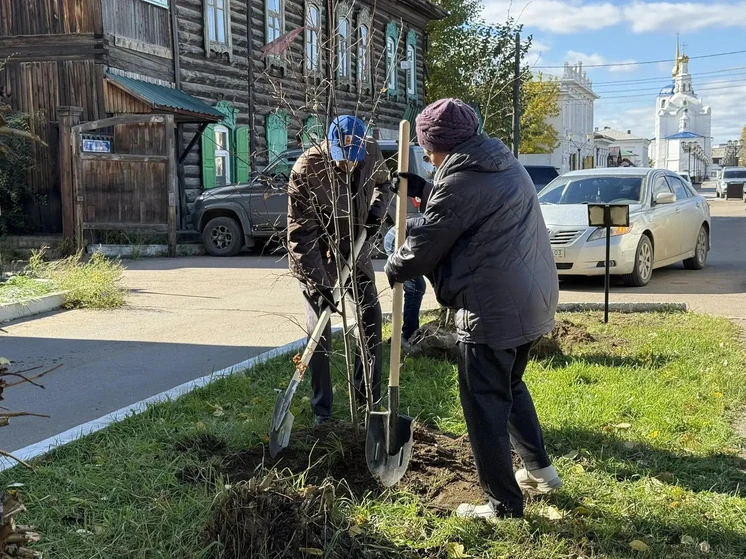 Аллея ветеранов заложена в центре Улан-Удэ