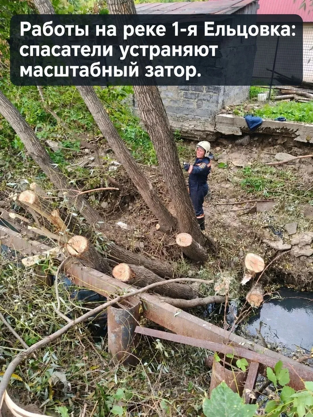 Затор из деревьев привёл к обрушению берега Ельцовки