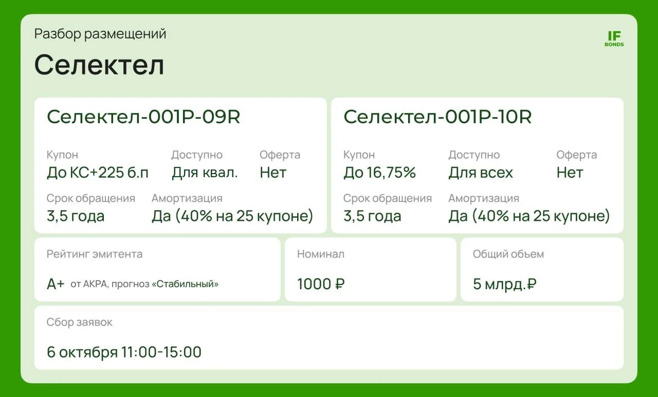 📊 IT-шники снова на первичке. Что предлагает Селектел?