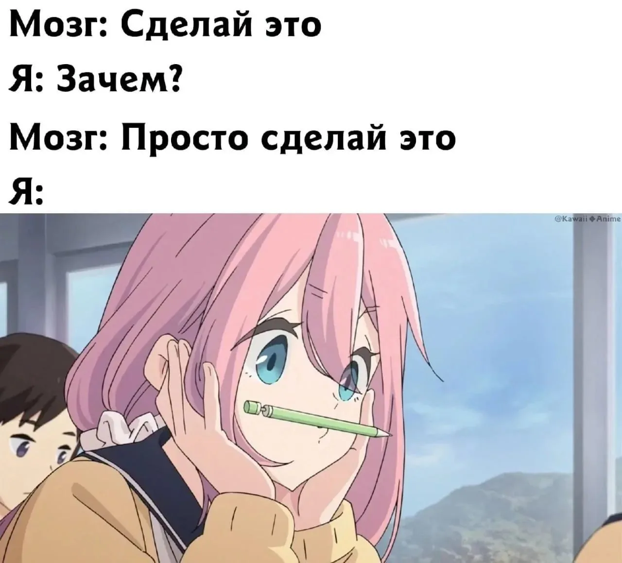 Другие наши каналы ❗