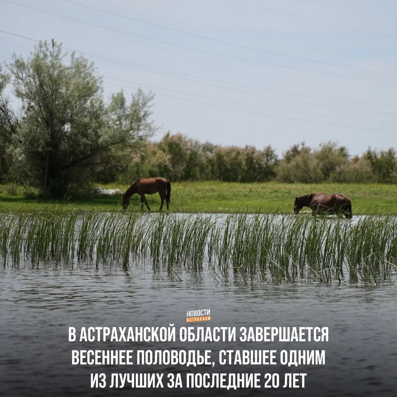 После нескольких лет маловодья регион получил достаточный объём воды: наполнились ильмени, озёра и п