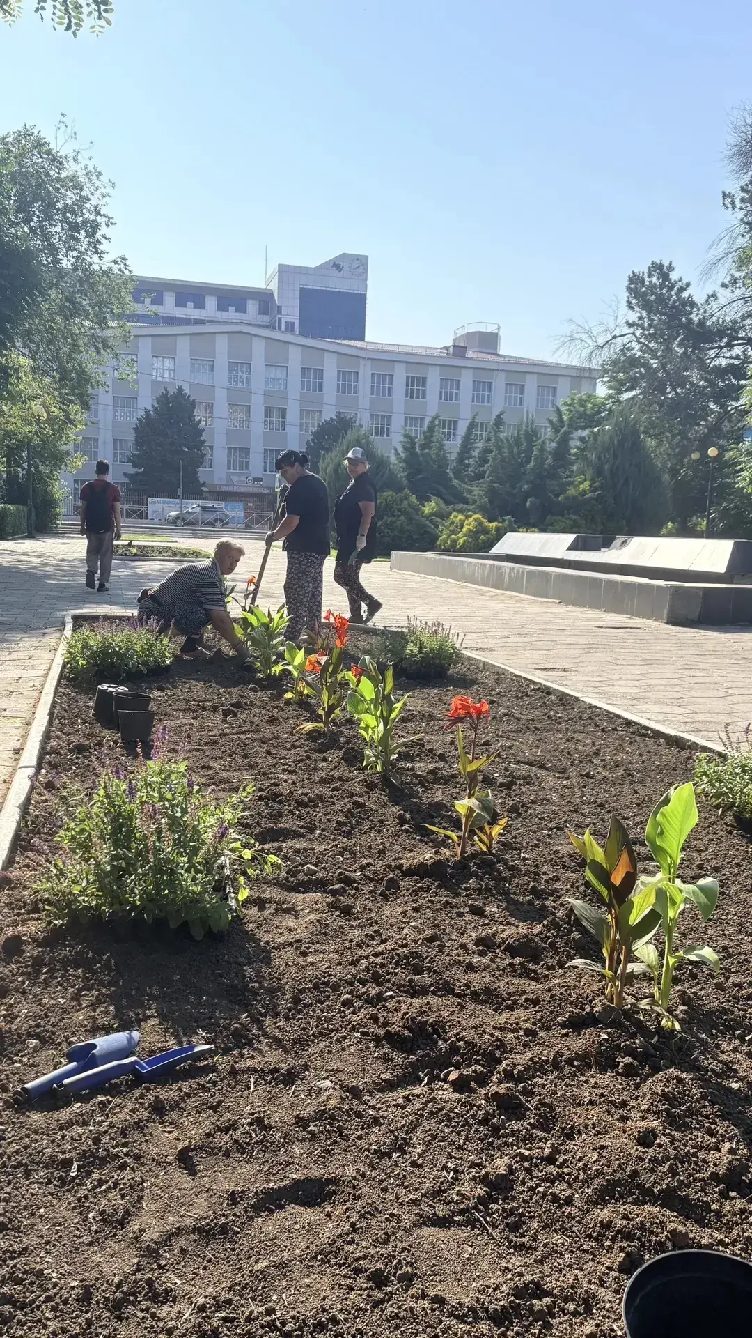 🌷 Продолжаем озеленение города! Высаживаем цветы в парке.