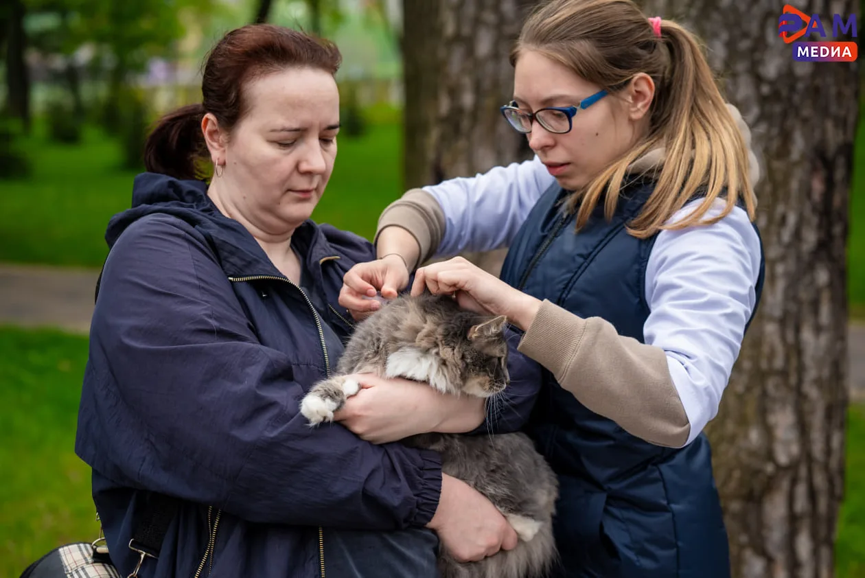 🐶 Напоминаем! Завтра в Раменском парке будет работать мобильный ветеринарный пункт