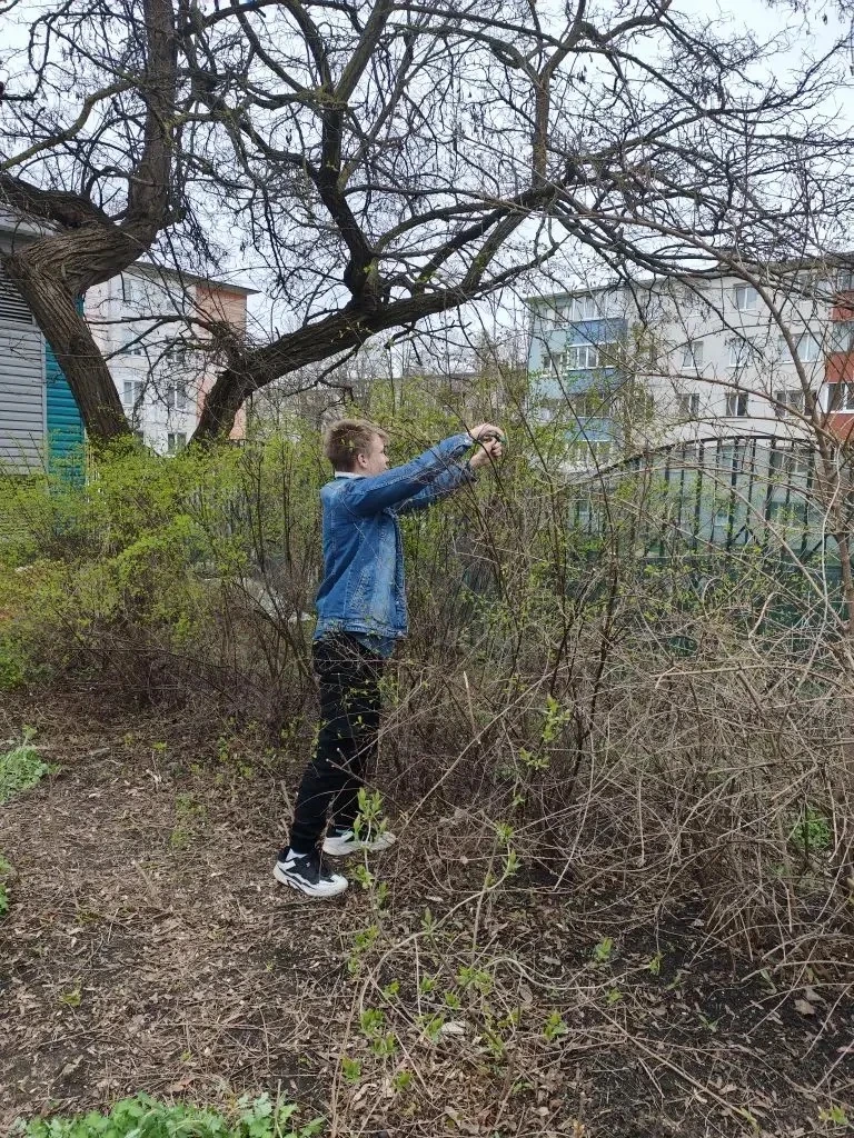 Весна идёт — весне дорогу! ✨ После долгой зимы наша школа начинает оживать. Обучающиеся вместе с кла
