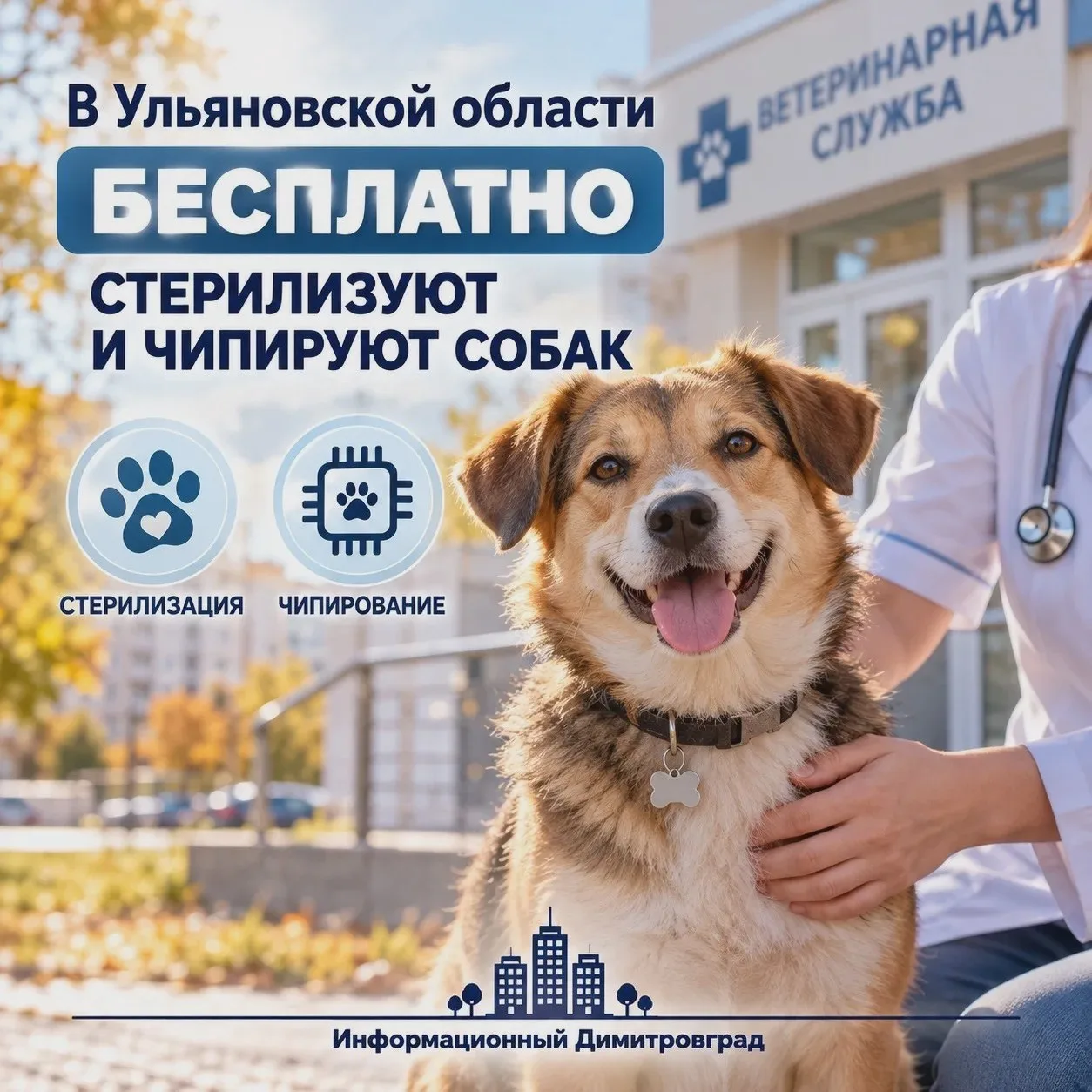 🐶 Бесплатная стерилизация и чипирование собак — с 2026 года