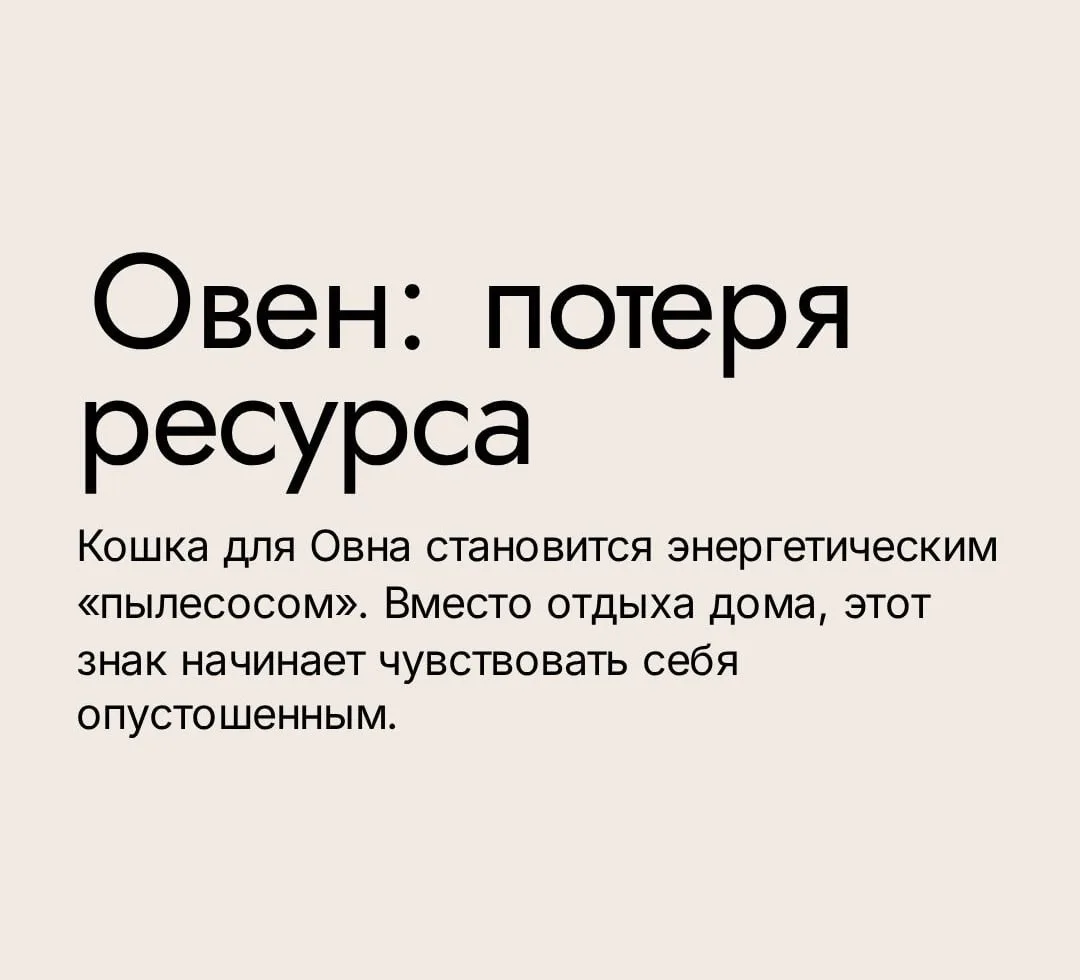 😱 Овнам, Скорпионам и Козерогам нельзя заводить котов, — астрологи