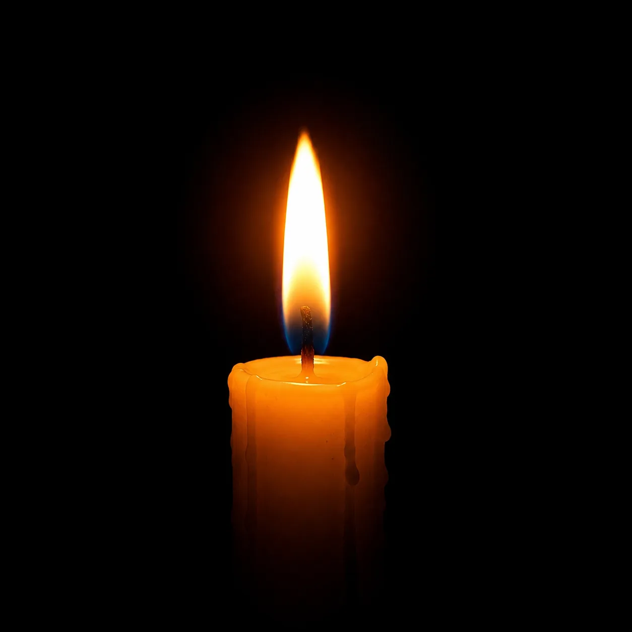 🕯️ Трагедия в Архипо-Осиповке.