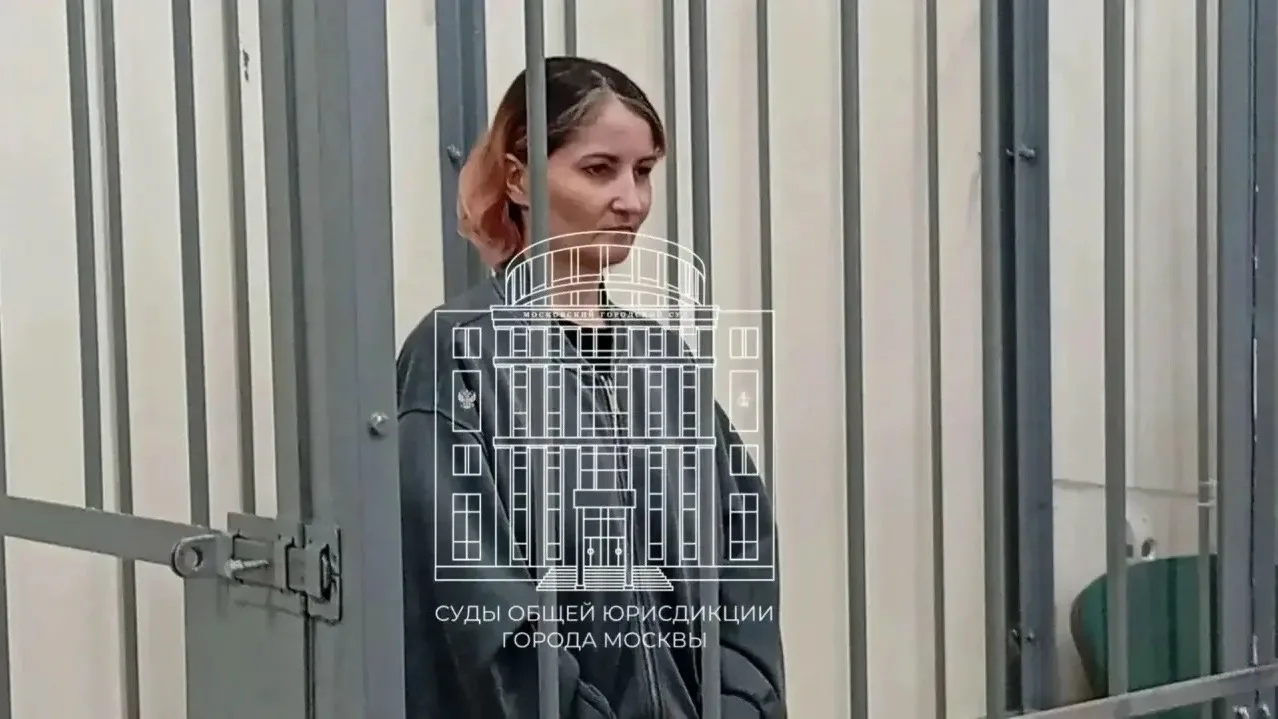 Москвичка получила 17 лет колонии за убийство малолетнего сына в Братеево. По версии сл...