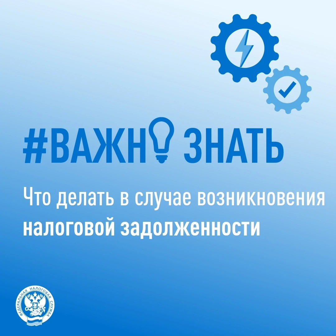 УФНС России по Вологодской области рекомендует жителям области во избежание мер принуди...