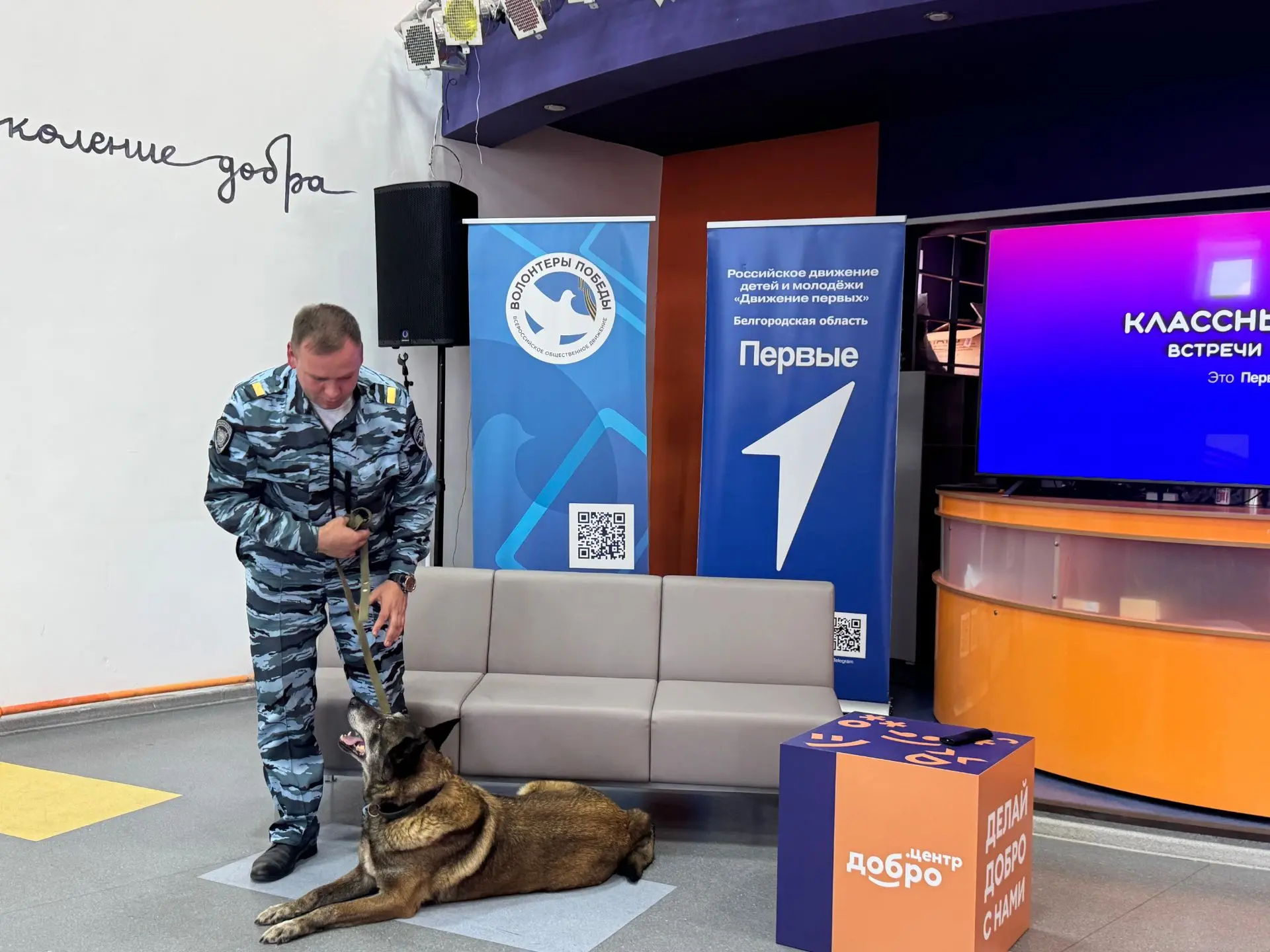 К Первым Нового Оскола пришёл на Классную встречу хороший мальчик 🐶

Это Мамай, и он настоящая служ