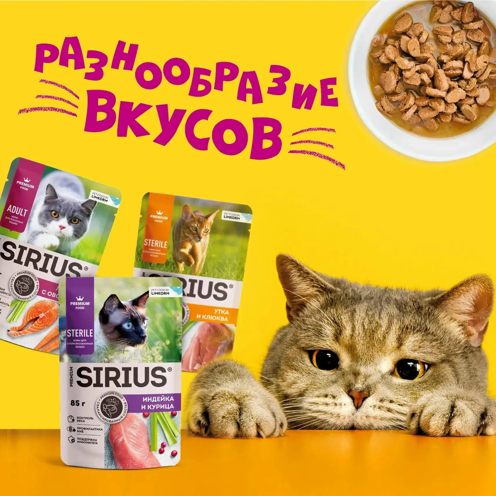 Ваш любимец точно знает толк в гастрономическом удовольствии!