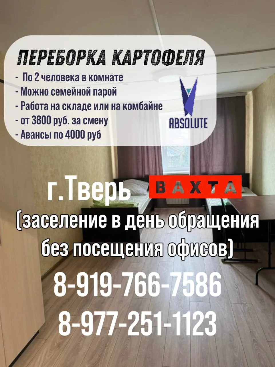 🥔 Вахта в Тверской области: переборка картофеля