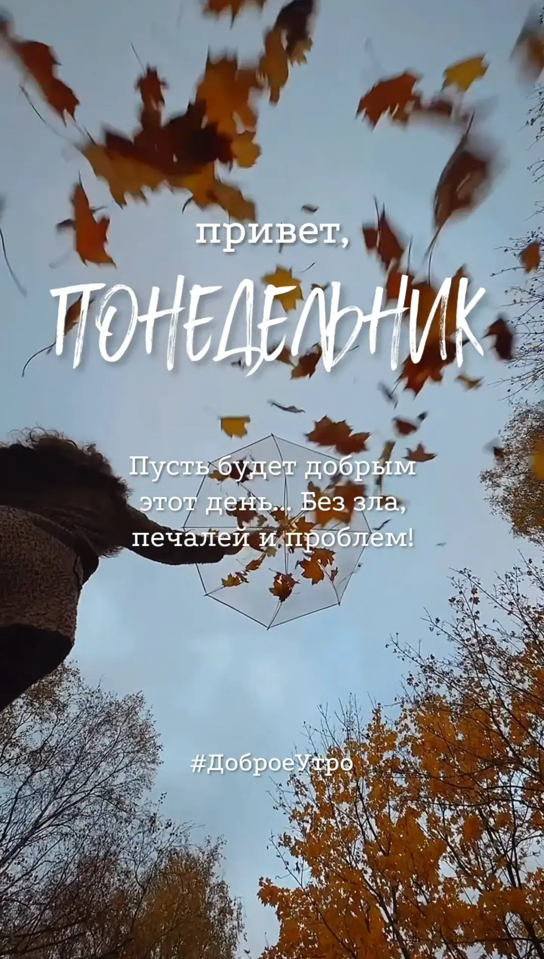 Пусть будет добрым этот день... Без зла, печалей и проблем!