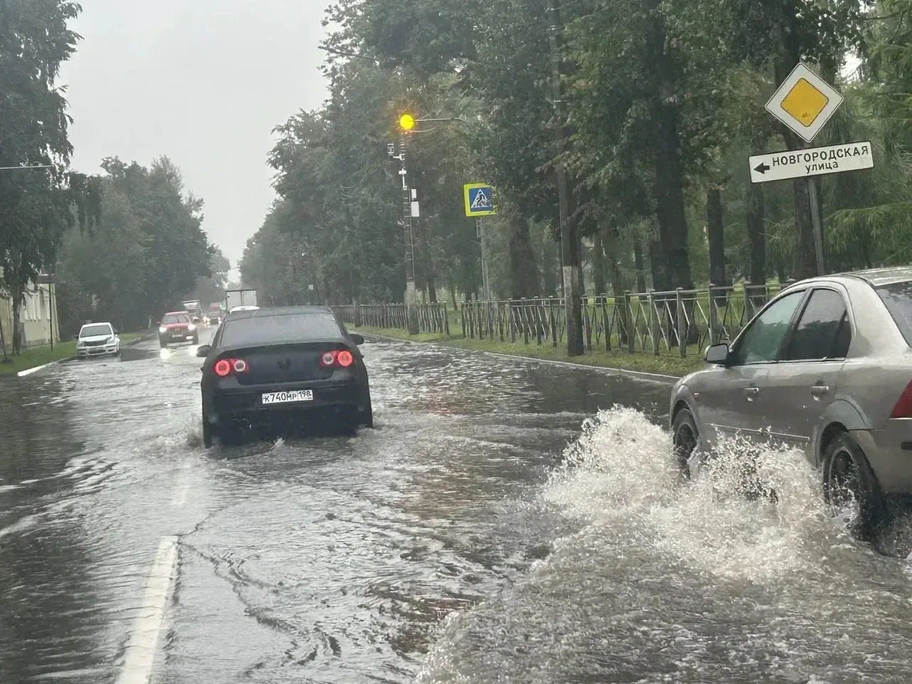 Несколько петербургских парков закрыли из-за ливня и ветра