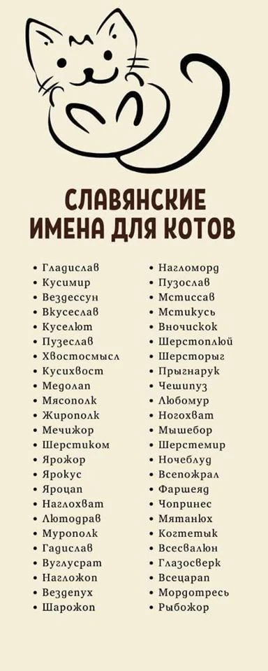 Славянские имена для котов 🐱🌍