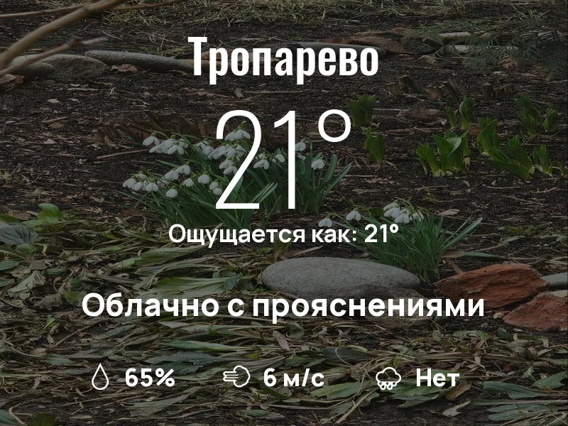 Что с погодой в Тропарево?