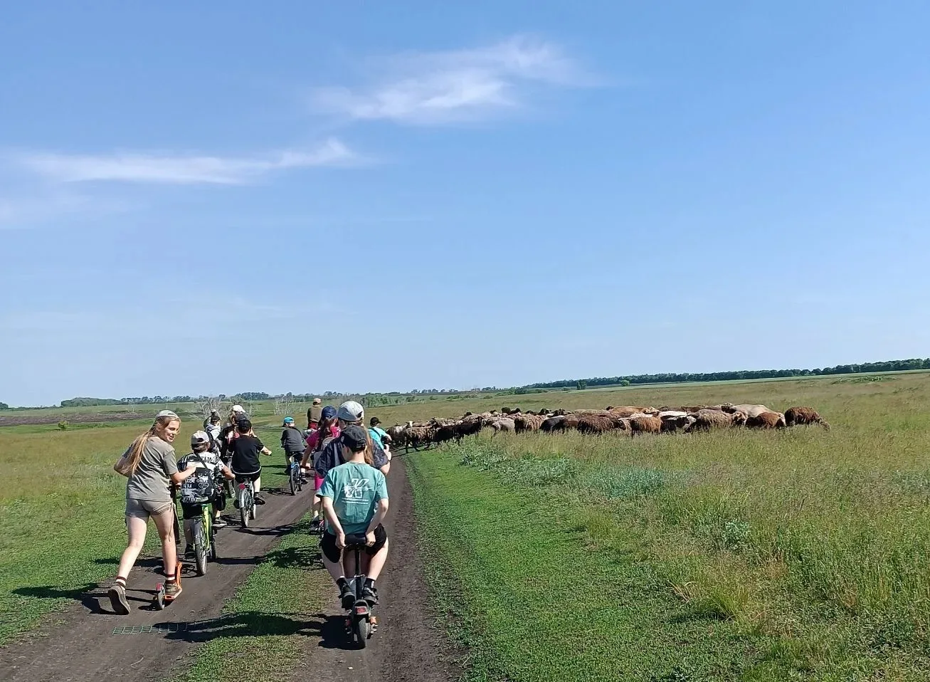 🎉 Поход к пруду Белая Круча: день, полный приключений! 🎉

Ребята из пришкольного лагеря вместе с у