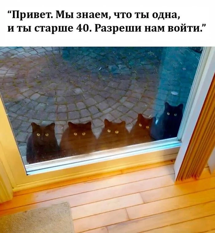Доброе утро, Девяткино! 🌞🤝