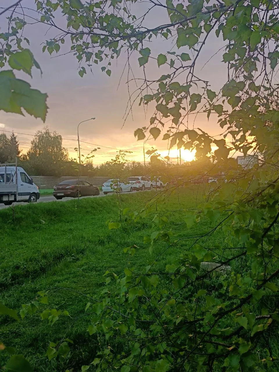 Звенигород. Утро. ☀️  Городской телеграм: https://t.me/zvenigorod8   Звенигород в MAX: https://max.r