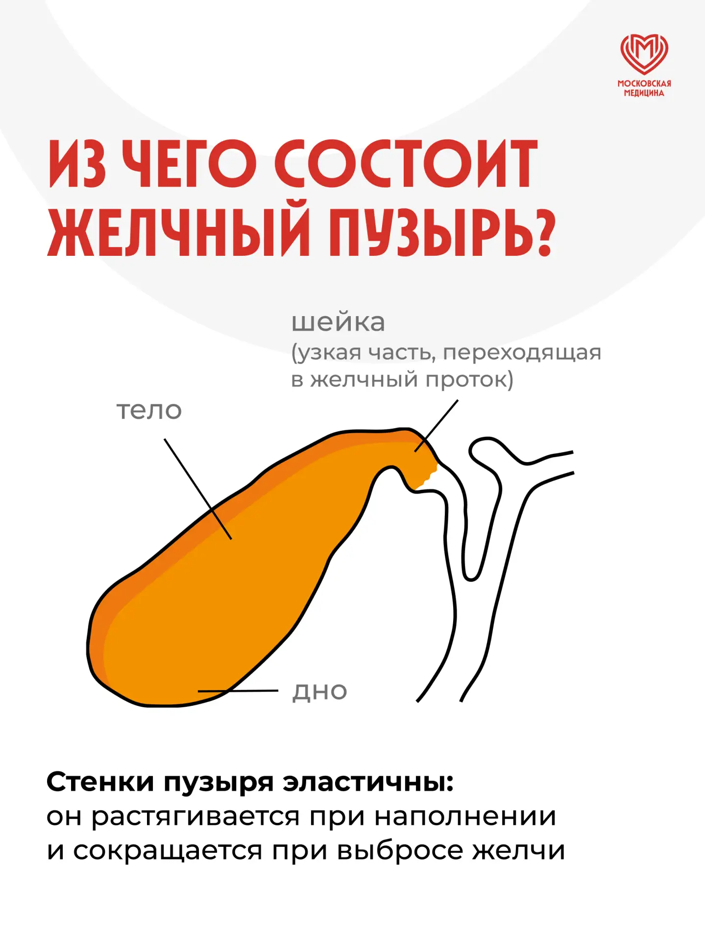 Изображение 4 к публикации «Московская медицина»