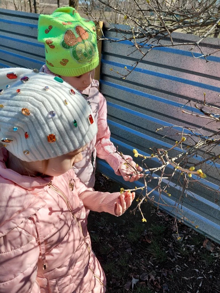 Наблюдение за сезонными изменениями: весеннее пробуждение природы.