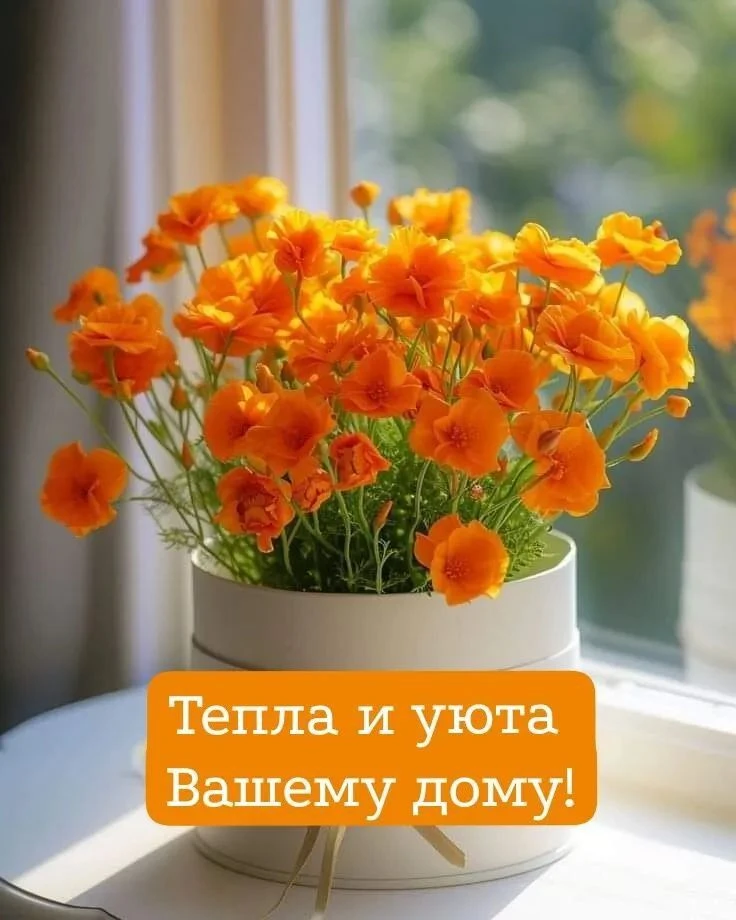 #разное
Картинки на каждый день